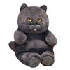 Miaomyao Plush Toy, Black Cat, Fluffy and Soothing Toy, Birthday Gift for Kids and Adults, 28cm