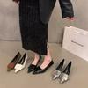 French temperament socialite black pointed single shoes women's shoes 2025 new spring and autumn winter silver stiletto high heels