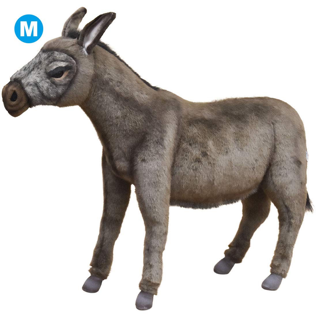 

Donkey No.5603