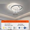 Modern Smart Oscillating Ceiling Fan Light