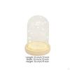 Miniature Lights Glass Cloche Warm Glow Tabletop Dome Modern Design Lighted Display Bell Jar for