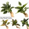 Creative 14 Leaves Artificial Plant Evergreen Green Scene Making Greenery Leaves Photo Props Plant Wall Wedding Ornament