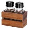 Spice Shaker Salt Pepper Shaker Set Salt Pepper Containers Stand
