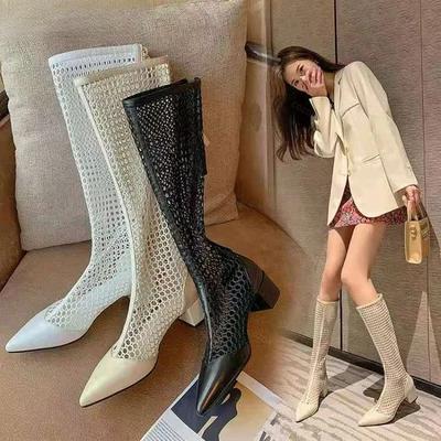 Fashion Cool Mesh Boots Women's Summer Stovepipe Season  2025 Thick Heel Mesh Boots Pointed Mid-heel Mesh High Boots Long Sandals