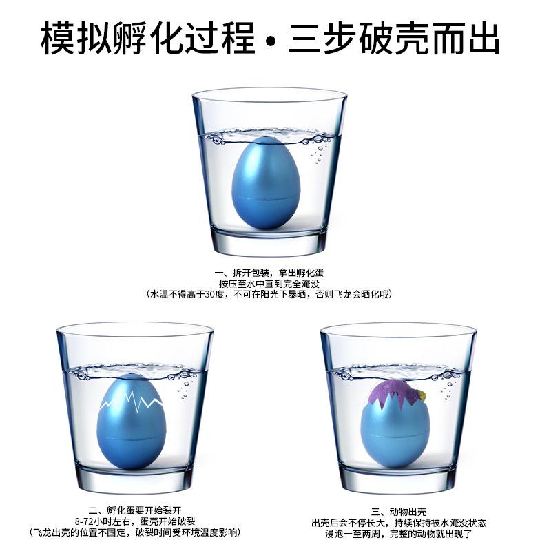 In Stock Water Hatching Egg Toy Unicorn Dolphin Dinosaur Magic Growing Egg Educational Sensory Toy For Kid Children Student Gift