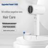 Ionic Hair Dryer CN Plug (adapter Included)