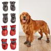 Bekleidung & Schuhe – Hundeschuhe