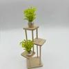5Pcs Simulation Miniature Garden Scene Decor 1:12 Dollhouse Mini Potted Plants Green Plants Model Courtyard Accessories