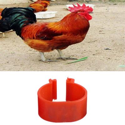 100pcs 001-100 Numbered Reusable Colorful Poultry Leg Bands Plastic Birds Leg Clip Poultry Rings
