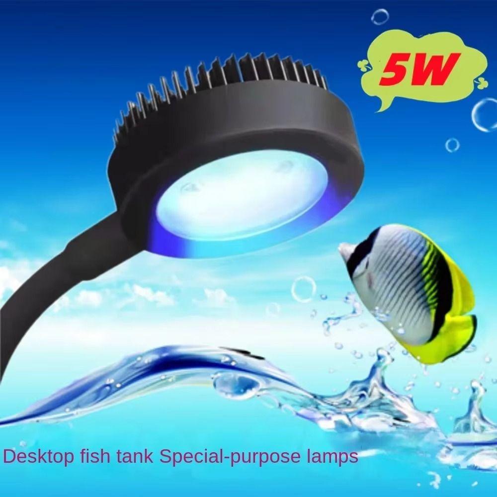 3 Color Modes Fish Tank Clip Lamp Adjustable Focus Spotlight  South American Fish Tank