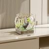 Ultra Clear Round Fish Bowl Plastic Removable Desktop Fish Tank Ultra Clear Viewing Tank Small Aquarium Tabletop Ornament