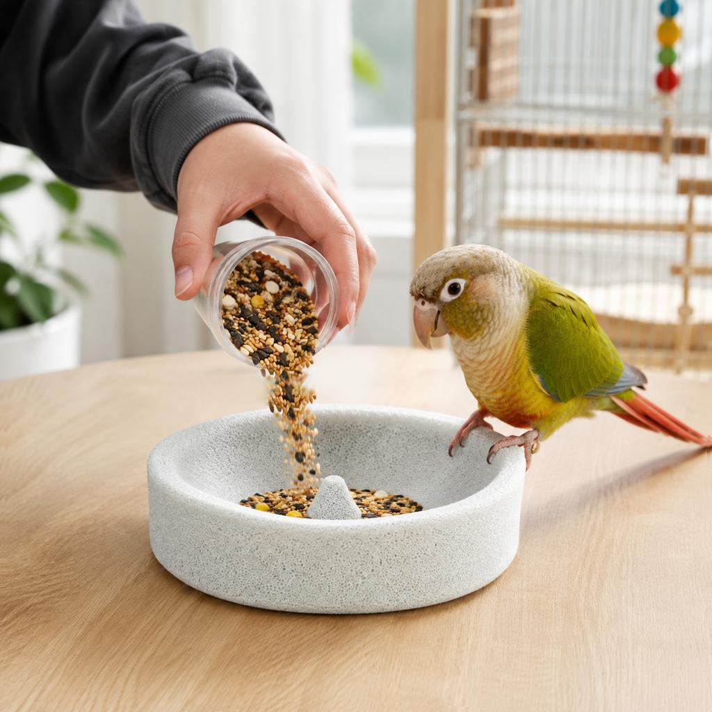 Pumice Bird Feeder for Parrots, Natural Grinding Feeding Bowl, Bird Accessory for Pet Birds