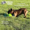 Wobble Wag Giggle Glow Ball, interaktives Hundespielzeug, lustige Kichergeräusche beim Rollen oder Schütteln. Haustiere wissen es am besten, wie im Fernsehen gesehen