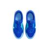 Nike Sonic Fly GS Modré Tónování Dětské Tenisky Dusty-Cactus Hyper-Royal Bílá FZ0017-400