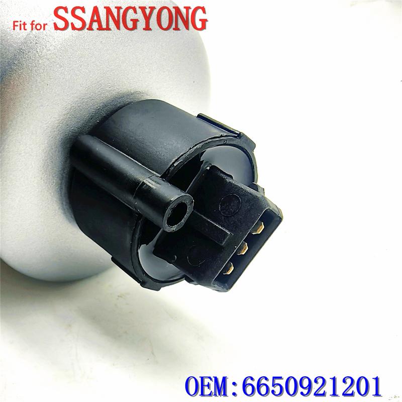 Diesel filter fit for Ssangyong KYRON REXTON RODIUS/STAVIC ACTYON SPORTS Diesel filter 6650921201