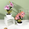 Four Flower Simulated Spotted Striped Phalaenopsis Artificial Bonsai Decor Room