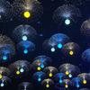 Enpufike LED Fiber Optic Chandelier Light