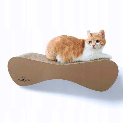 Gatos