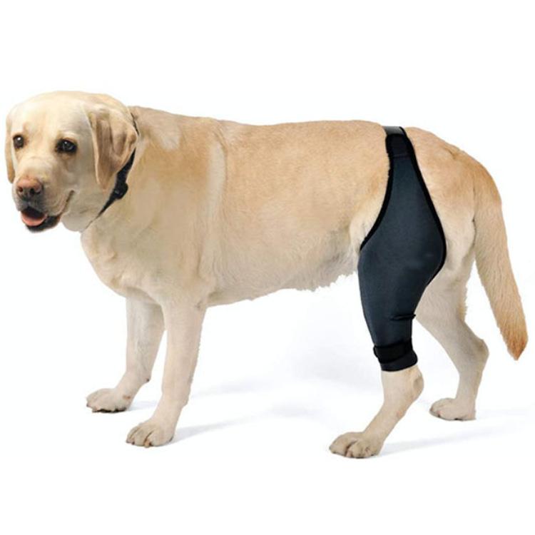 

Dogs Knee Support ACL Cap Recovery Sleeve Brace Legs Joint Dog Knee Pads Wrap Dog Knee