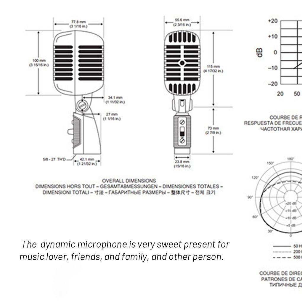 Dynamic Microphone Vintage Portable Club Nightclub Stage Performance KTV Interview Mic Home Electric Accessories for Singer