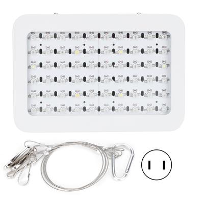 600W LED Plant Growth Lamp Full Spectrum Greenhouse Seedling Plant Grow Light
