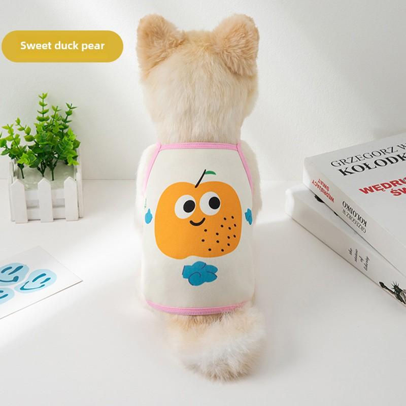 Velký mazlíček pes pes kočka oblečení vesta jaro a léto chladný teddy magic bojové potřeby