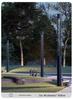 Waterproof LED Aluminum Profile Street Lights for Parks & Gardens, 3-4m High