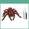 Remote Control Spider Toy With Plastic Material For Kids Age 7 To 14