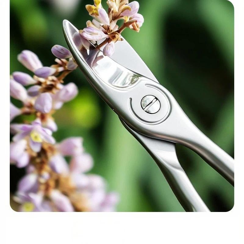 1Pcs Nail Cutter Scissors Professional Pedicure Fingernail Toenail Clipper Eyebrows Eyelash Multi-Purpose Curved Blade Manicure