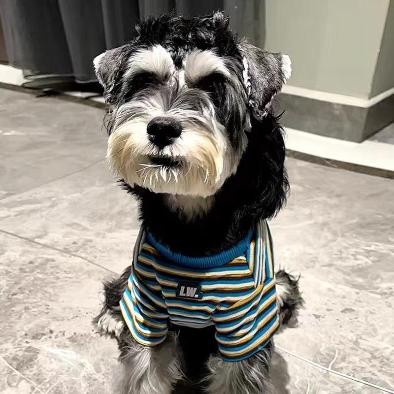 Cat and dog clothes new autumn striped T-shirt short-sleeved Teddy Schnauzer Shiba dog medium and small dog pet clothes