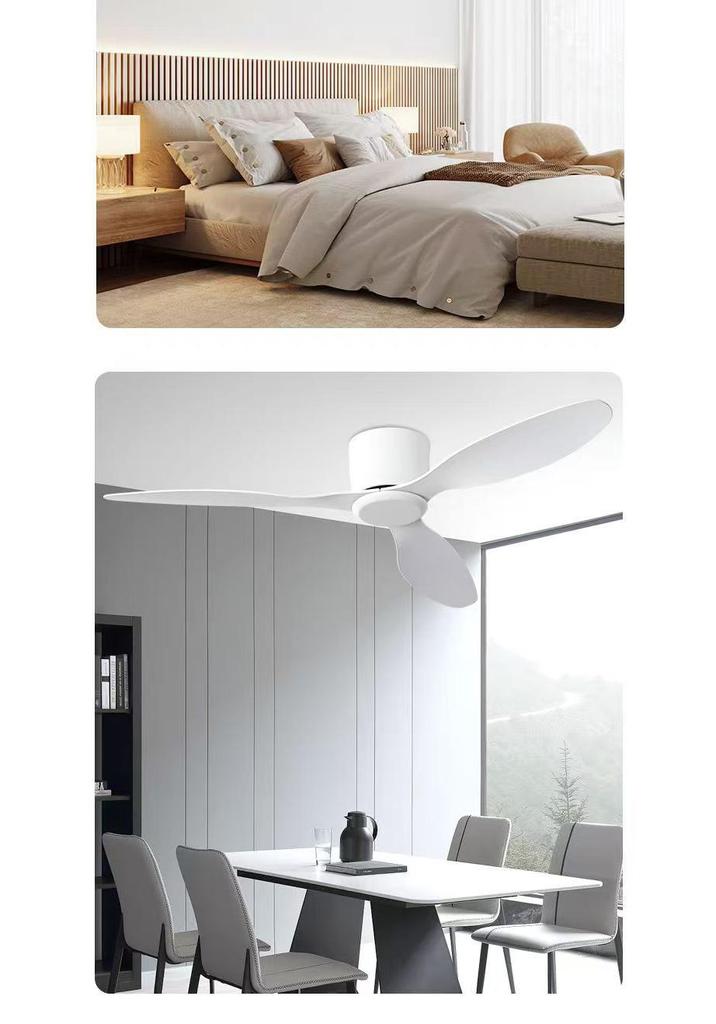 Minimalist Ceiling Fan Light for Living Room, Dining Room & Bedroom