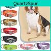 Gps Positioning Reflective Collar Dog Medium And Large Dog Nonstrangle Neck Ring Pet Tracking Antilost Collar Traction Rope