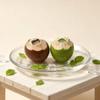 Mini Resin 3D Simulated Coconut Juice Decor 6Pcs Green Brown Accessories for DIY Handmade Gift Jewelry Making Craft