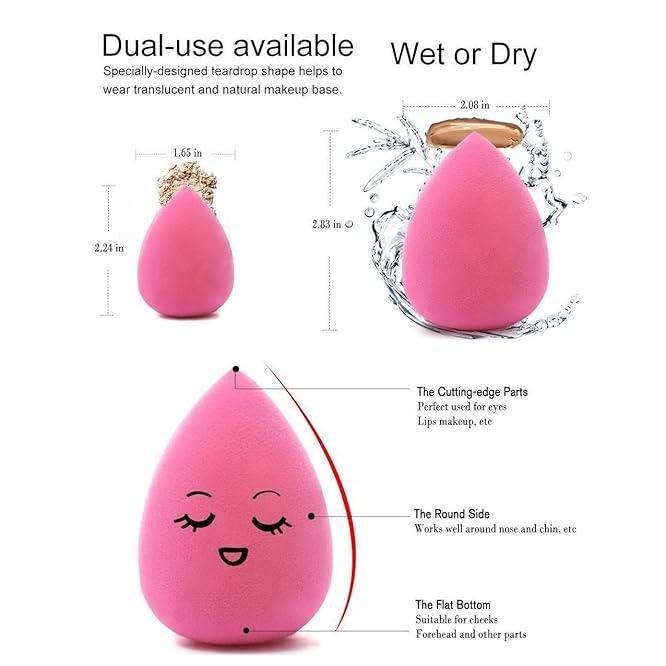 Premium Synthetic Kabuki Foundation Face Powder Blush Eyeshadow Brush Makeup Brush Kit with Blender Sponge and Brush Cleaner (10 Pcs, Black/Silver)