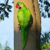 Simulation Parrot Bird Sculpture?Resin Craft Wall Hanging Garden Decoration