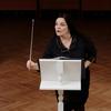 VICASKY Music Baton Stainless Music Band Accessories Baton, Steel, Retractable, Conductor, Teaching, Choir, Durable, Lightweight, Concert,