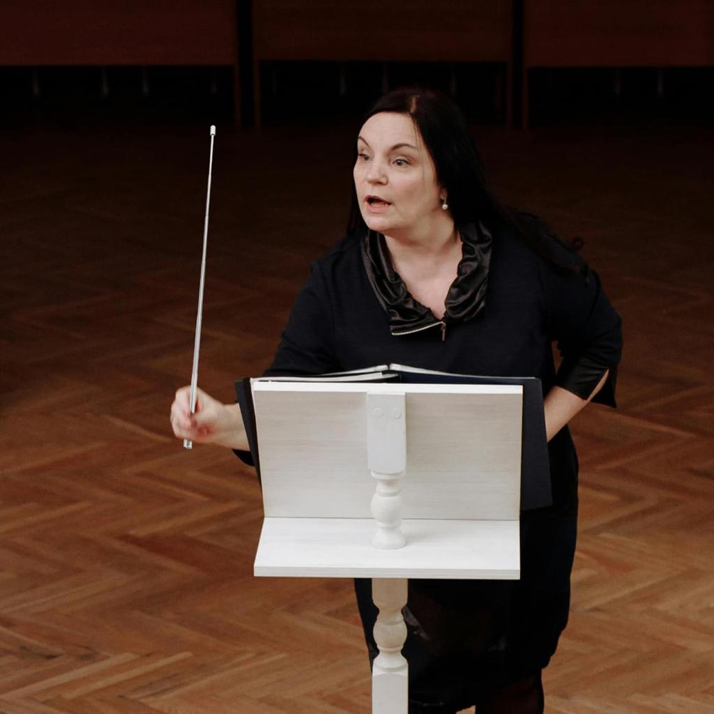 VICASKY Music Baton Stainless Music Band Accessories Baton, Steel, Retractable, Conductor, Teaching, Choir, Durable, Lightweight, Concert,