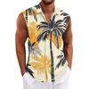 Men's Hawaiian Lapel Button-down Shirt T-shirt Top