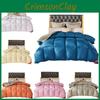 Duvet Color Solid Thickened Warm Goose Down Filling Quilt Natural Winter Blanket