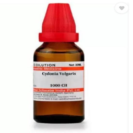 Dr. Willmar Schwabe Indien Cydonia Vulgaris Verdünnung 30 ML Kostenloser Versand