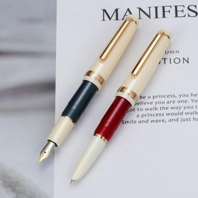 Penna da scrittura tascabile con pennino extra fine, penne ad inchiostro acrilico, mini penna stilografica di lusso, cancelleria