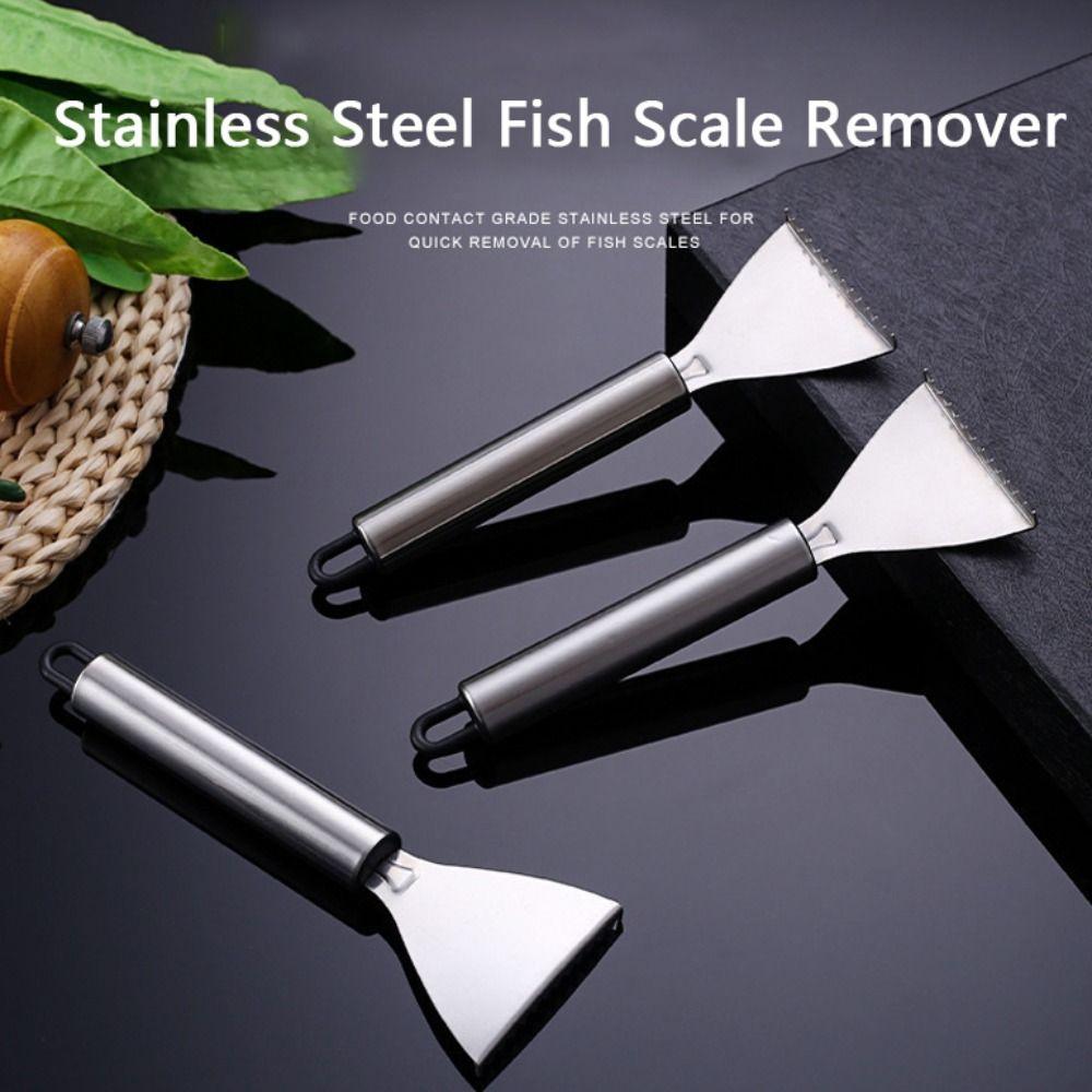 Easy Maneuverability Fish Scale Scraper Smooth Handle Seafood Tools  Home Supplies