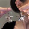 Tide Metal Fringed Earrings, High-end Temperament, Long Stud Earrings, Women's Exaggerated Earrings.
