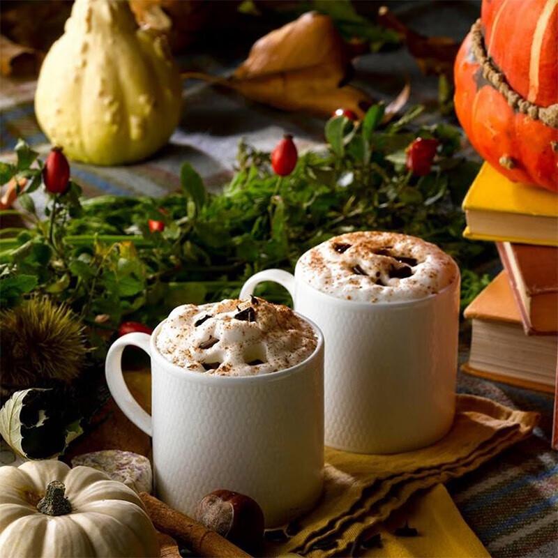 Wedgwood Geometric Series Bone China Mug