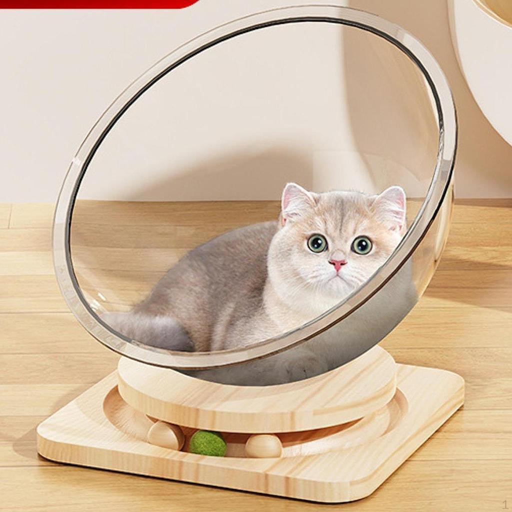 Cat Bed Space Capsule for Small Pets with Track Balls And Nesting Area