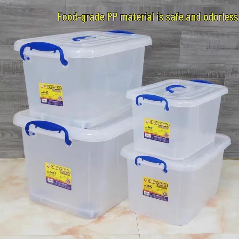 Qiucai Transparent Lidded Storage Box
