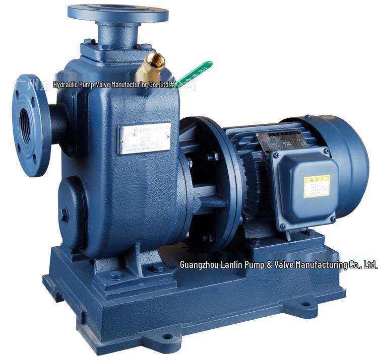 ZW/BZ Non-Clogging Self-Priming Sewage Pump 80BZ-30