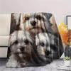 Black Maltese dog,pattern Flannel Blanket, High quality Comfortable for All Seasons, Home Decor, Warmth and Comfort, Perfect for Gifts.