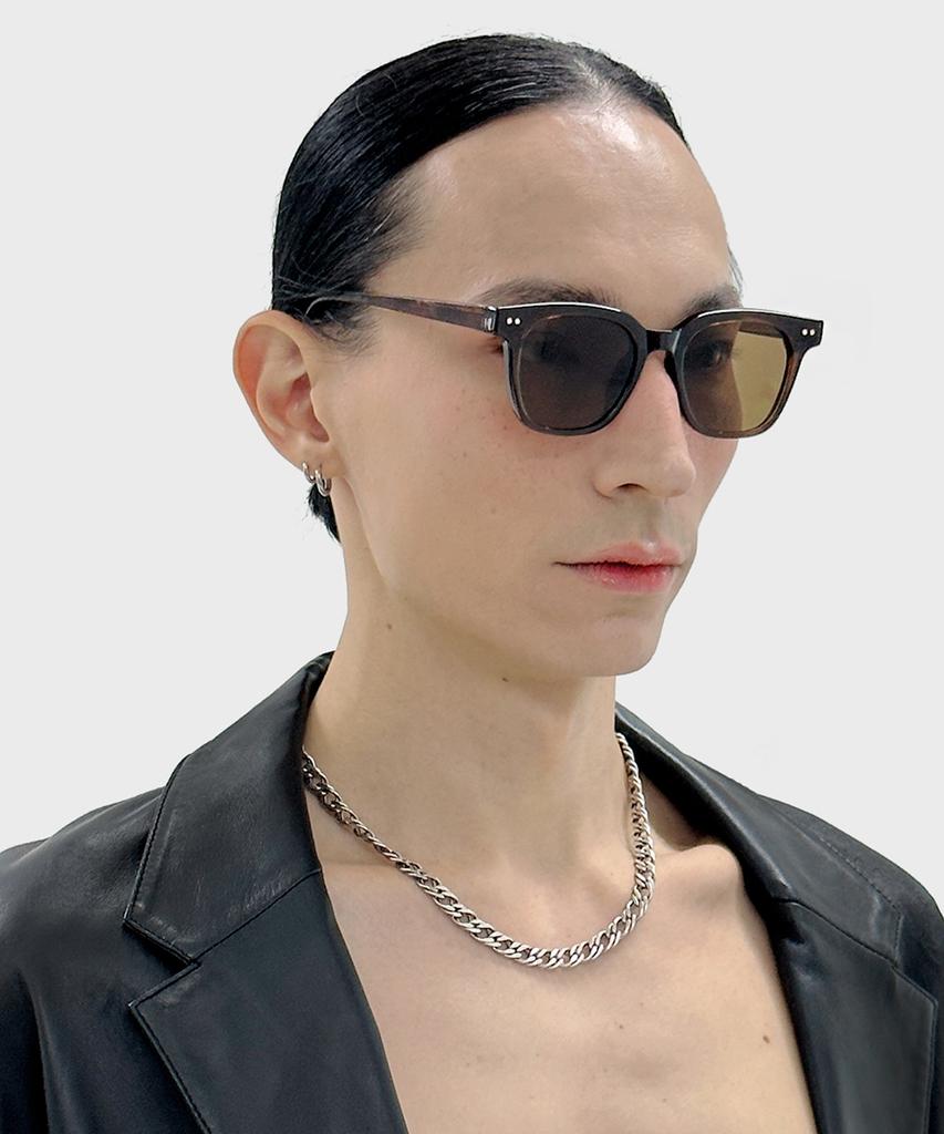 MAISON MASTER Grand Sunglasses Brown