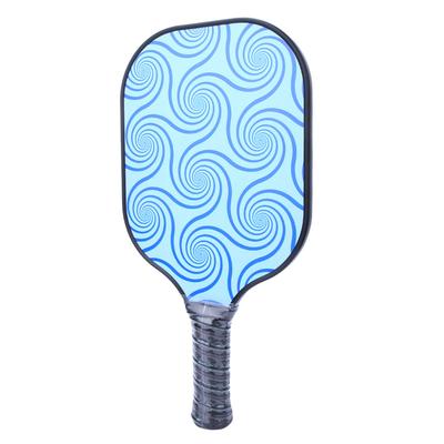 Přenosná pálka na pickleball, míček, hra, trénink, sportovní vybavení, dobrý pocit v ruce